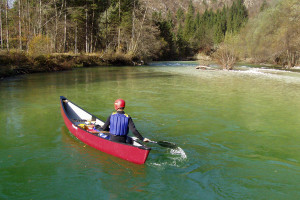 Save Bohinjka